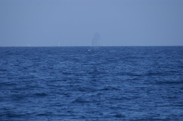 photo11.jpg