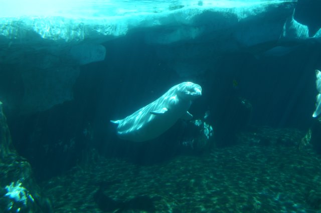 photo16.jpg