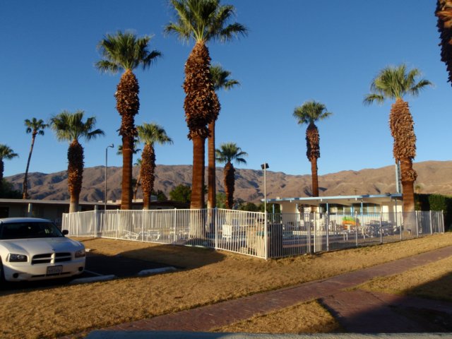 photo1.jpg