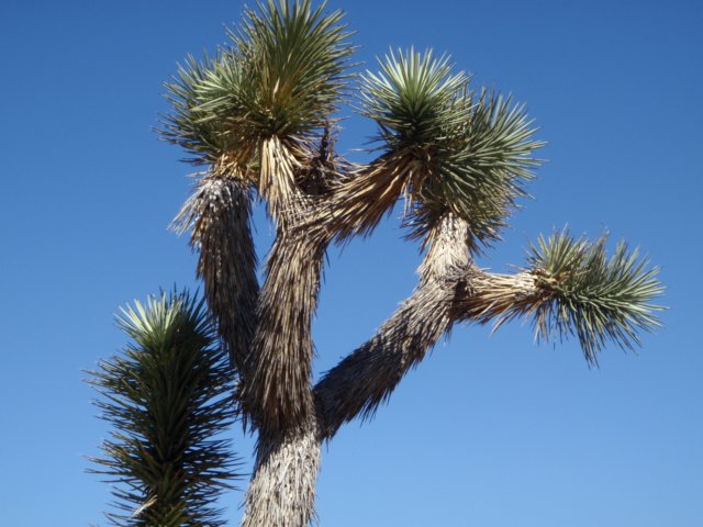 photo14.jpg