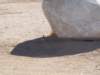 photo15_small.jpg