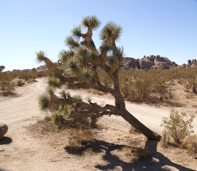 photo16.jpg