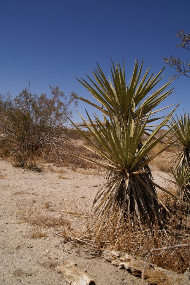 photo7.jpg
