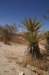 photo7_small.jpg