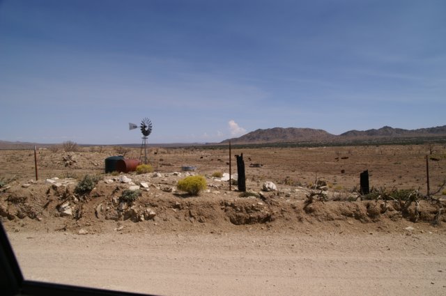 photo11.jpg