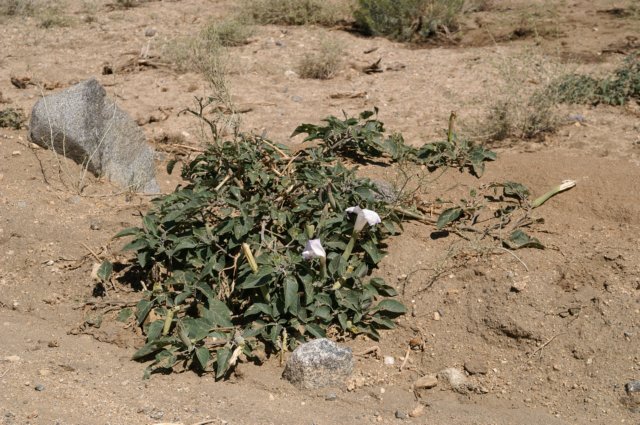 photo21.jpg