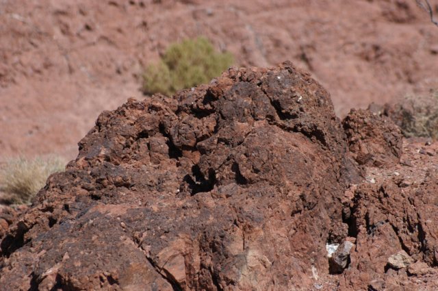 photo11.jpg