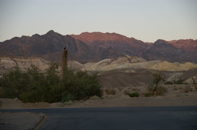 photo23.jpg