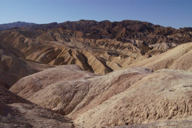 photo1.jpg