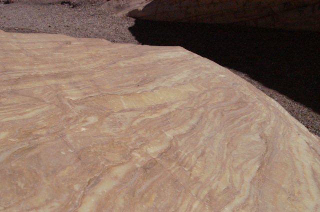 photo11.jpg