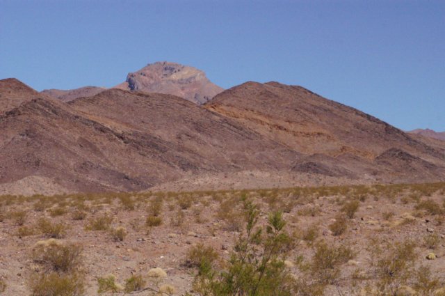 photo7.jpg