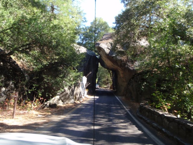 photo1.jpg