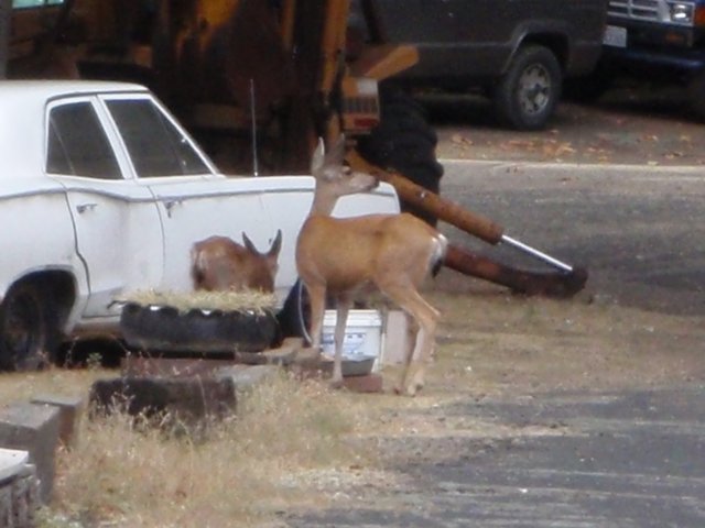 photo3.jpg