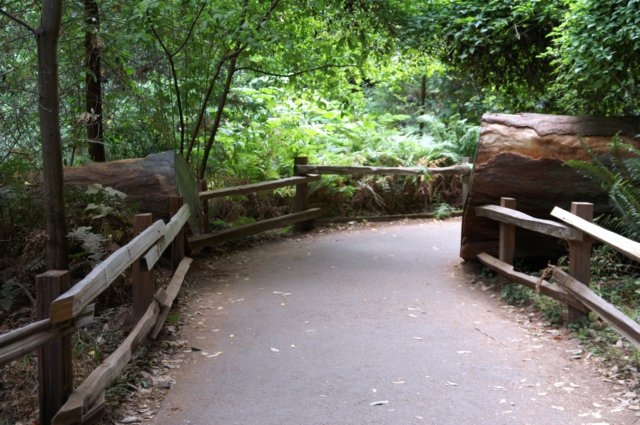 photo6.jpg