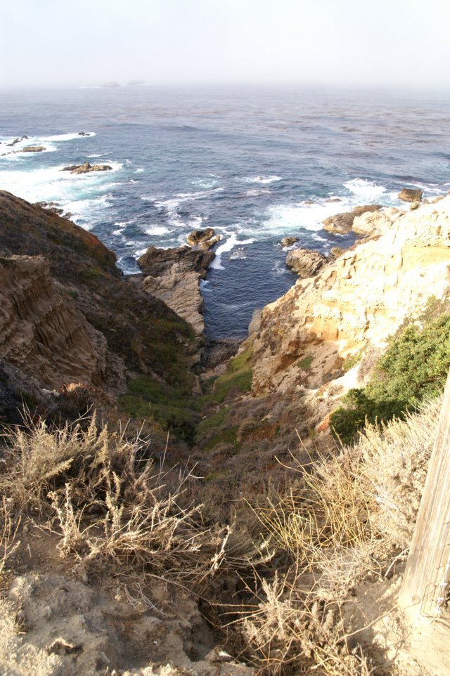 photo1.jpg