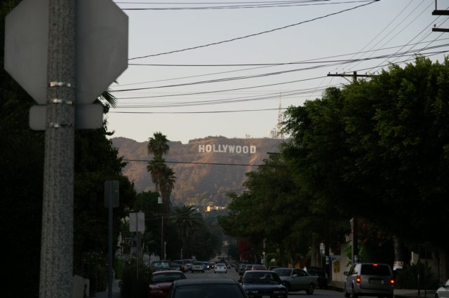 photo21.jpg