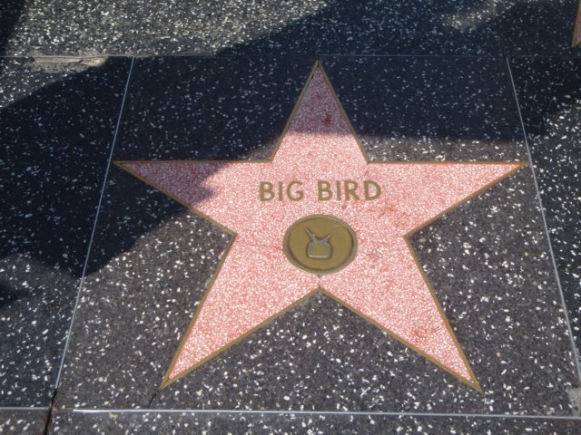 photo3.jpg