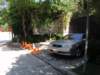 photo7_small.jpg