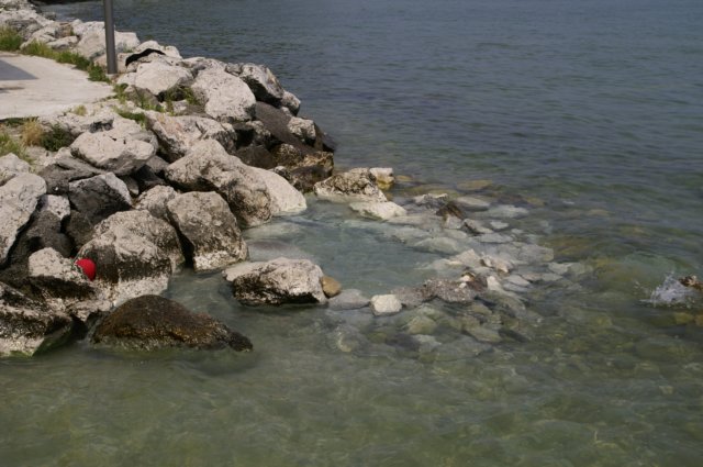 photo13.jpg