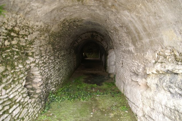 photo22.jpg