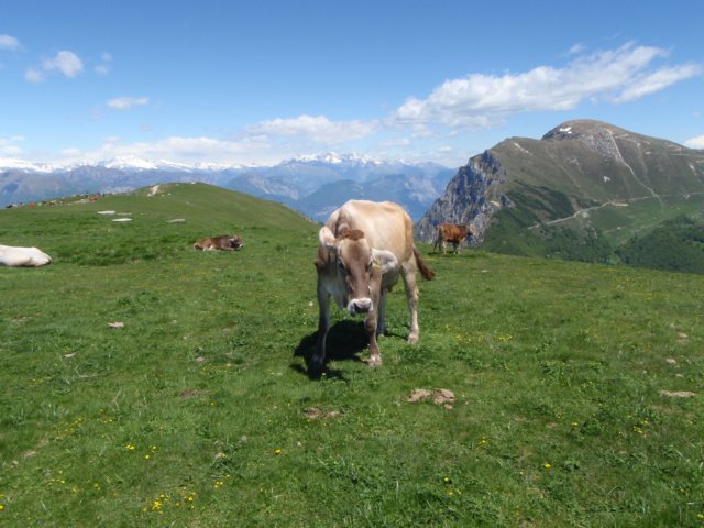 photo1.jpg