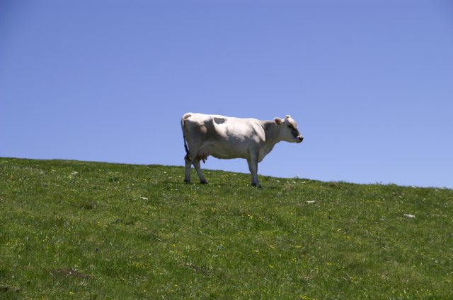 photo16.jpg