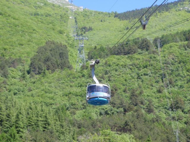 photo19.jpg