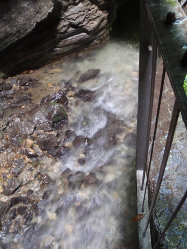 photo22.jpg