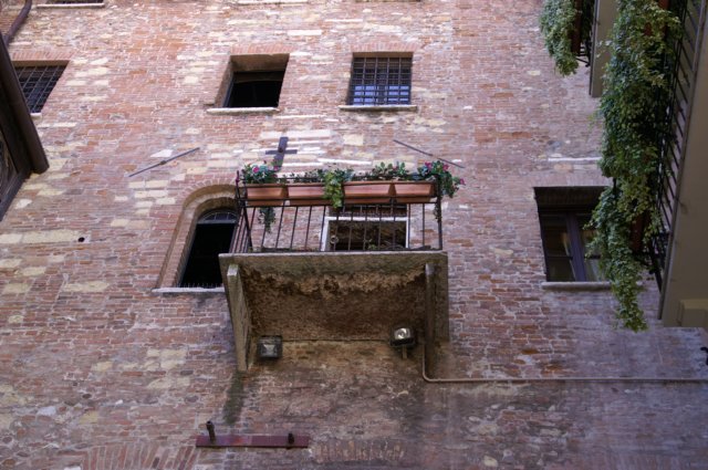 photo10.jpg