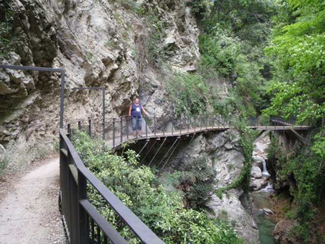 photo16.jpg