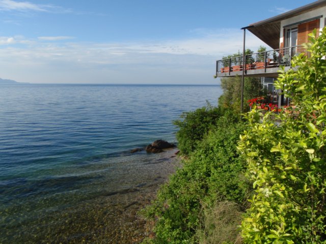 photo2.jpg