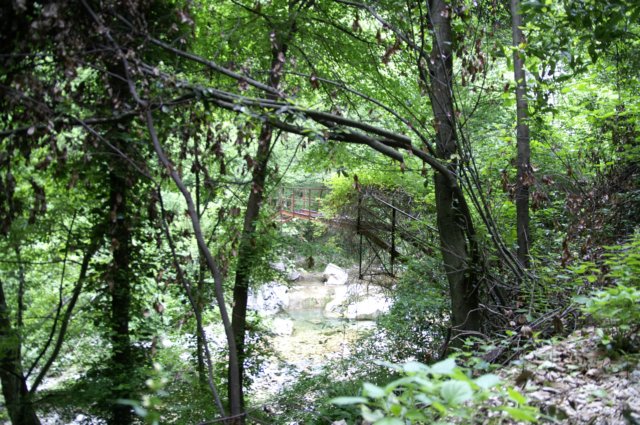 photo21.jpg