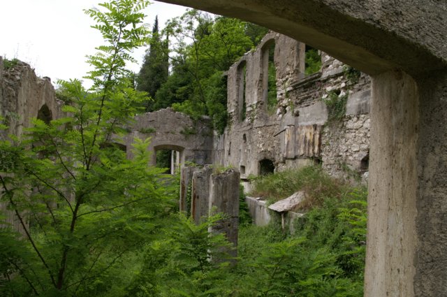photo28.jpg