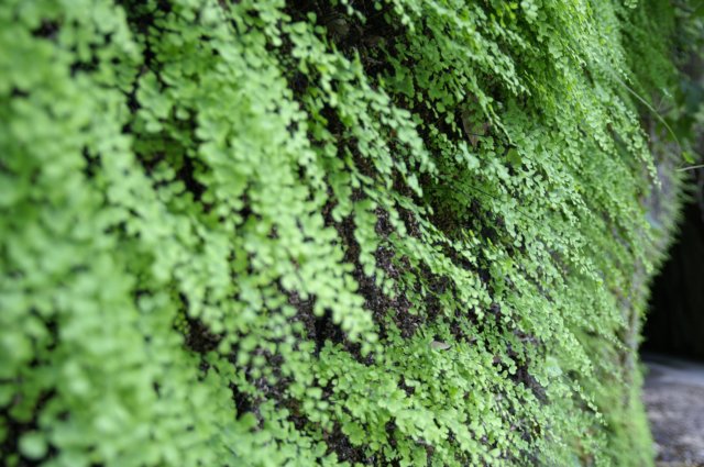 photo30.jpg