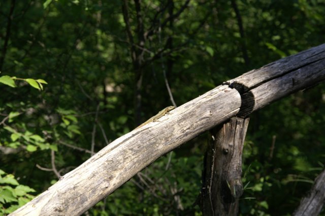 photo5.jpg