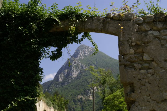 photo8.jpg