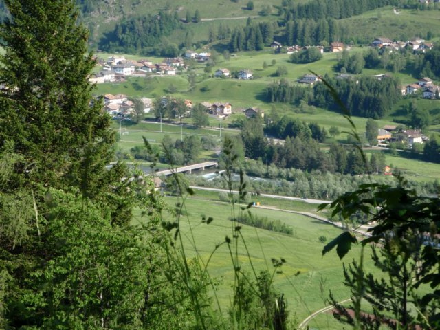 photo15.jpg