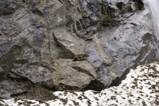 photo16.jpg