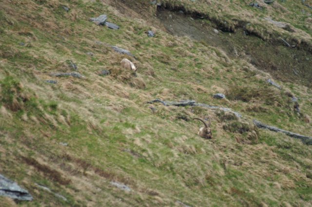 photo25.jpg