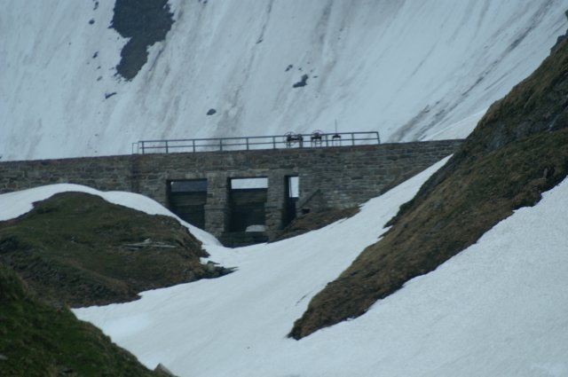 photo29.jpg