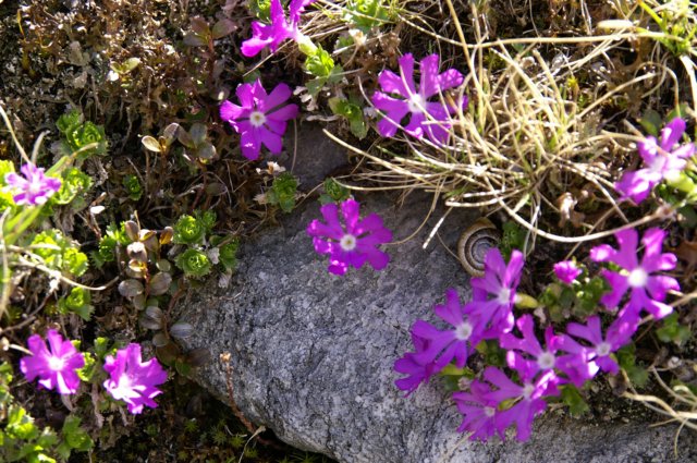 photo14.jpg
