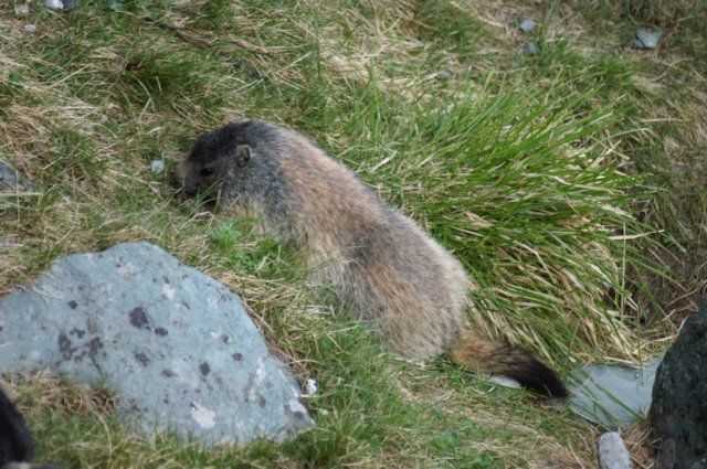 photo20.jpg