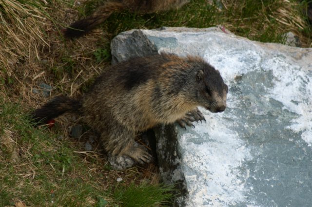 photo21.jpg