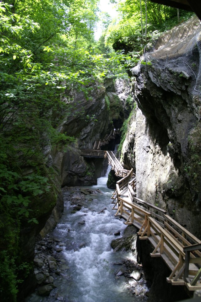 photo1.jpg