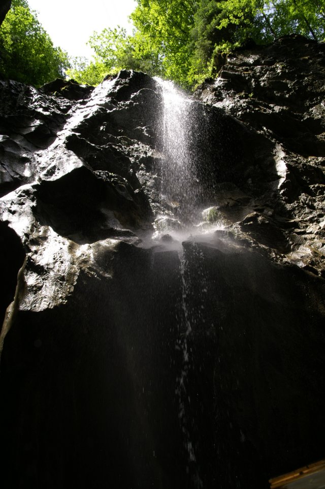 photo10.jpg