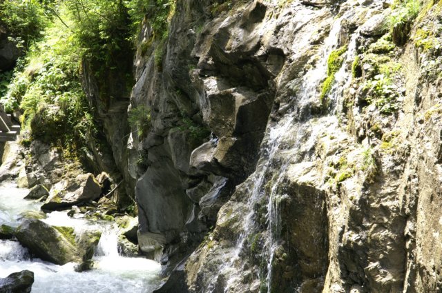 photo21.jpg