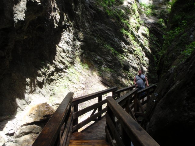 photo8.jpg