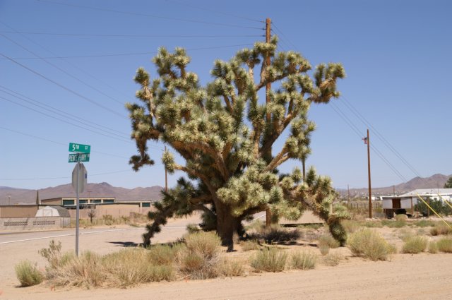 photo30.jpg
