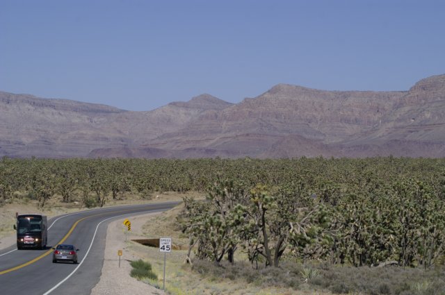 photo34.jpg