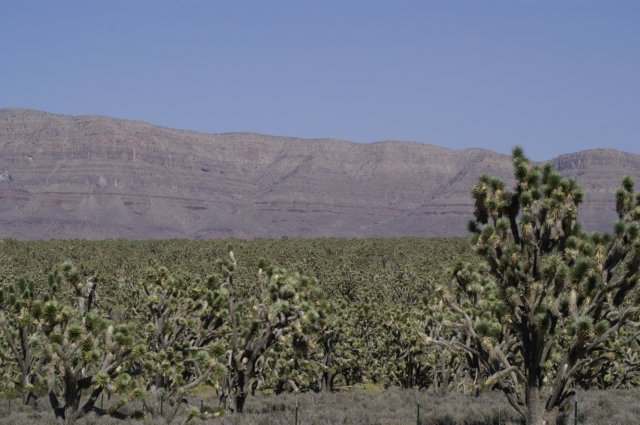 photo36.jpg